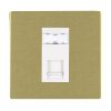 Sheer CFX Satin Brass 1 gang RJ12 Outlet - Unshielded White