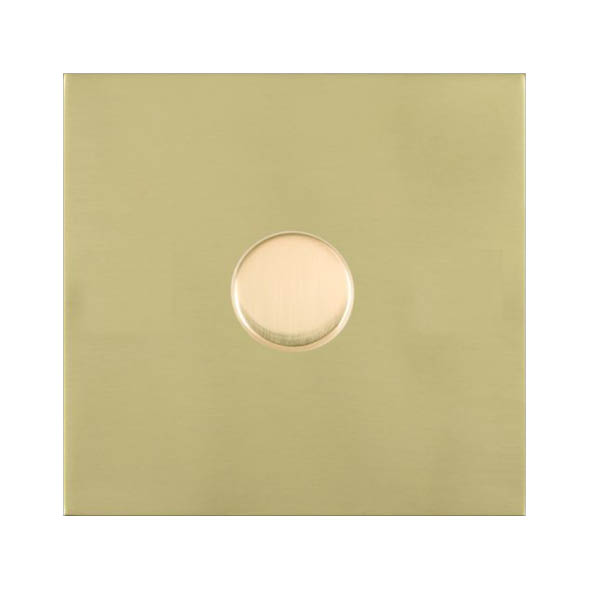 Sheer G2 Polished Brass 1g Rotary Companion Controller Polished Brass