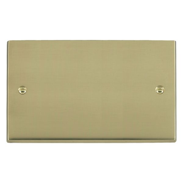 Cheriton Victorian Polished Brass Double Blank Plate