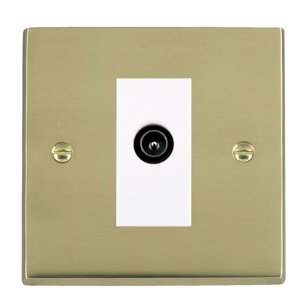 Cheriton Victorian Polished Brass 1 gang Non-Isolated TV (Male) (DAB Compatible) White