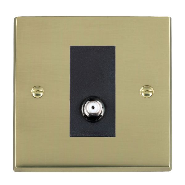 Cheriton Victorian Polished Brass 1 gang Isolated Satellite Black