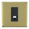 Linea-Scala CFX Polished Brass Frame/Satin Brass Front 1 gang Isolated Satellite Black