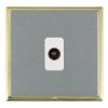 Linea-Scala CFX Polished Brass Frame/Satin Steel Front 1 gang Isolated TV 1in/1out White